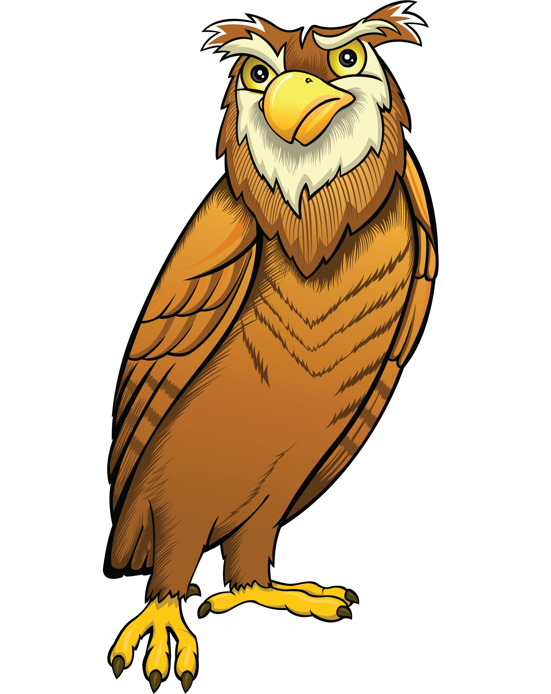 Owl mascot